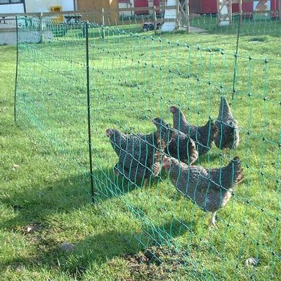 Electric Poultry netting