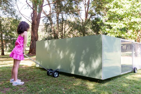 Jumbo Chicken Tractor - Image 2