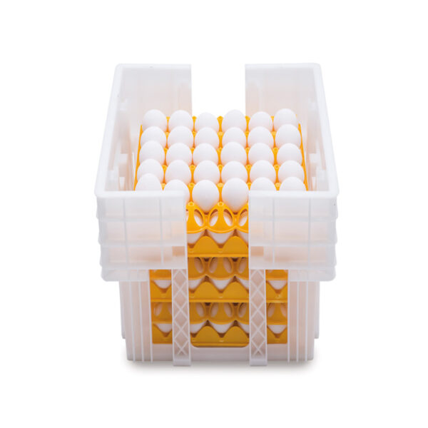 Egg Transport Crate Ovobox 180