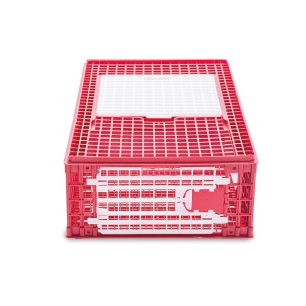 Poultry Transport Crate - Large - Image 3