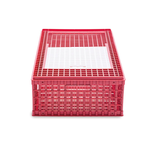 Poultry Transport Crate - Large