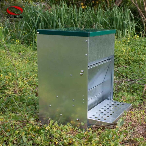 Treadle Poultry Feeder close in use